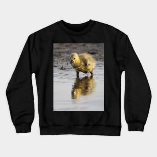 Pigpen Crewneck Sweatshirt